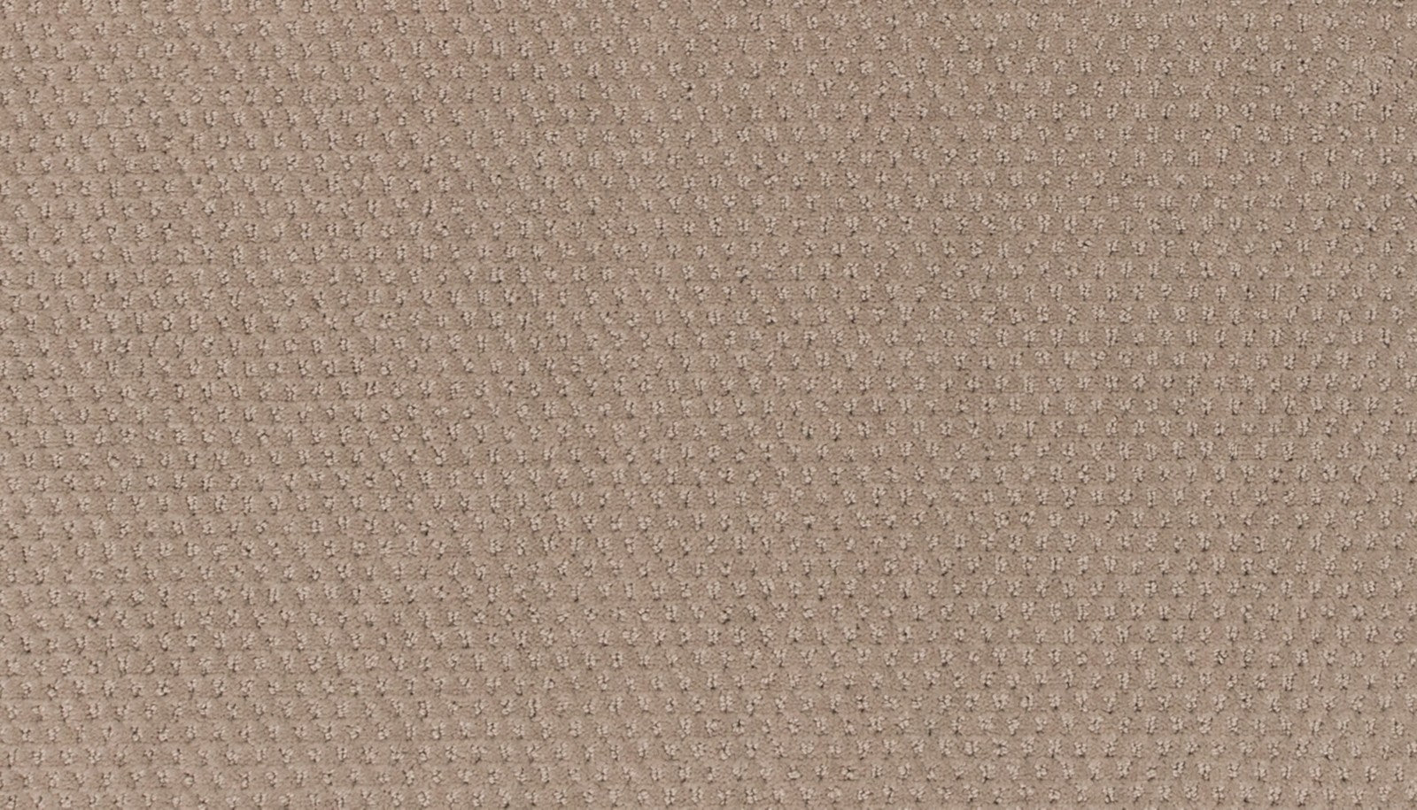Mohawk Dynamic Momentum in Velocity, Carpet product detail