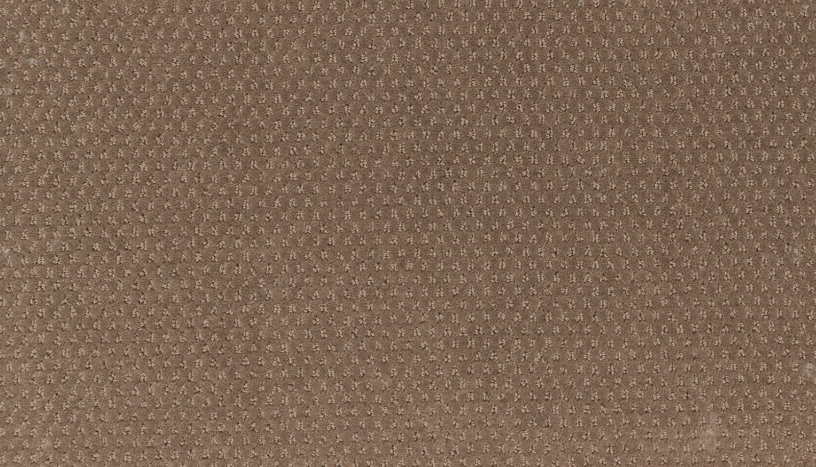 Mohawk Dynamic Momentum in Energy, Carpet product detail