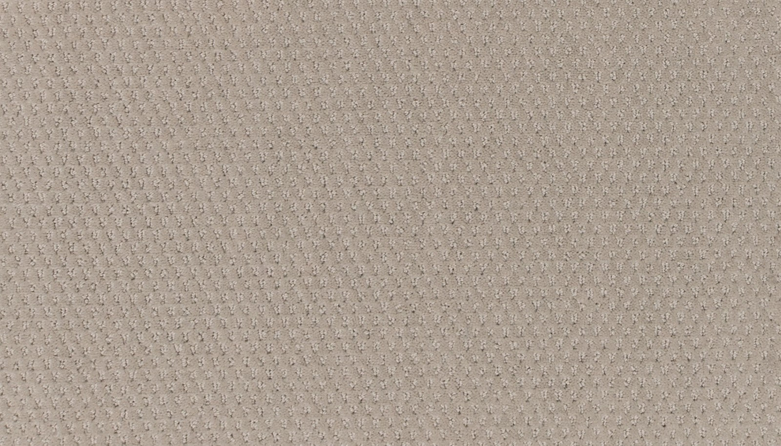 Mohawk Dynamic Momentum in Spirited, Carpet product detail