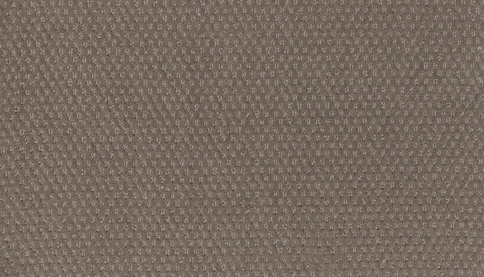 Mohawk Dynamic Momentum in Pulse, Carpet product detail