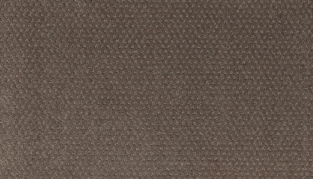 Mohawk Dynamic Momentum Carpet