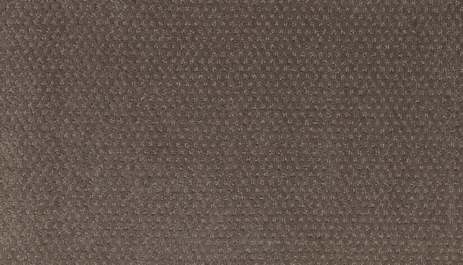 Mohawk Dynamic Momentum in Charge, Carpet product detail