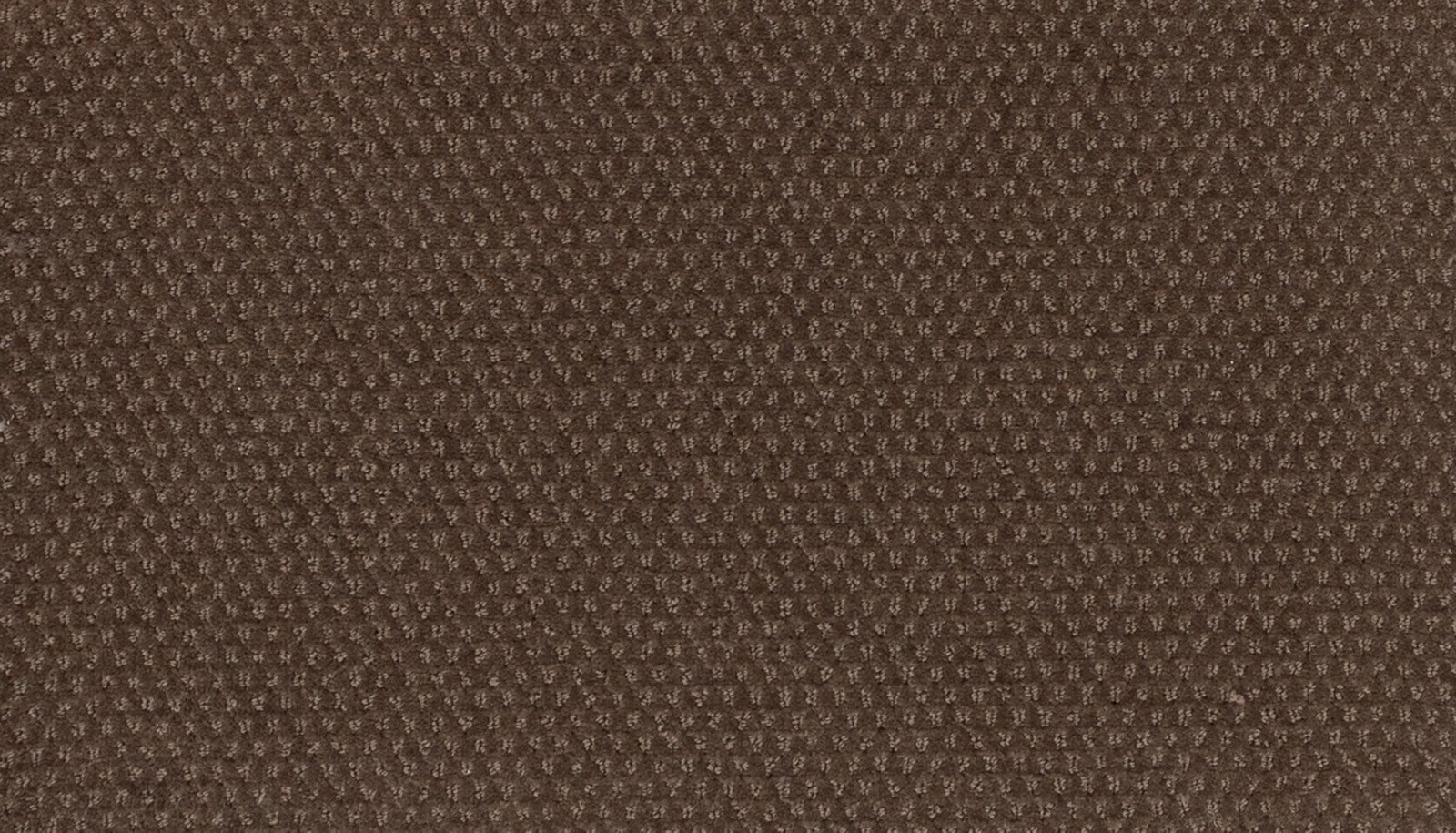 Mohawk Dynamic Momentum in Motion, Carpet product detail