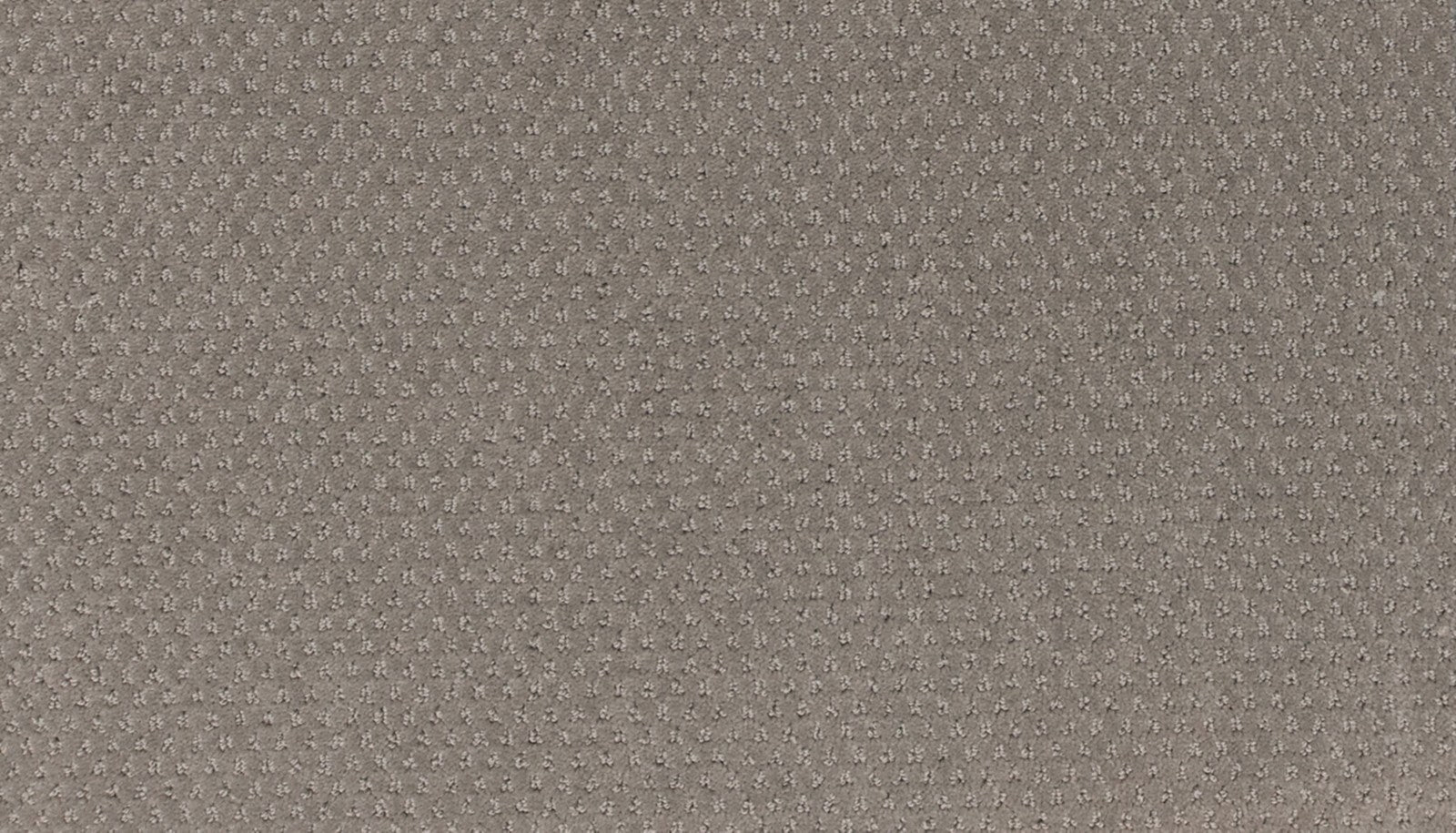Mohawk Dynamic Momentum in Turbo, Carpet product detail