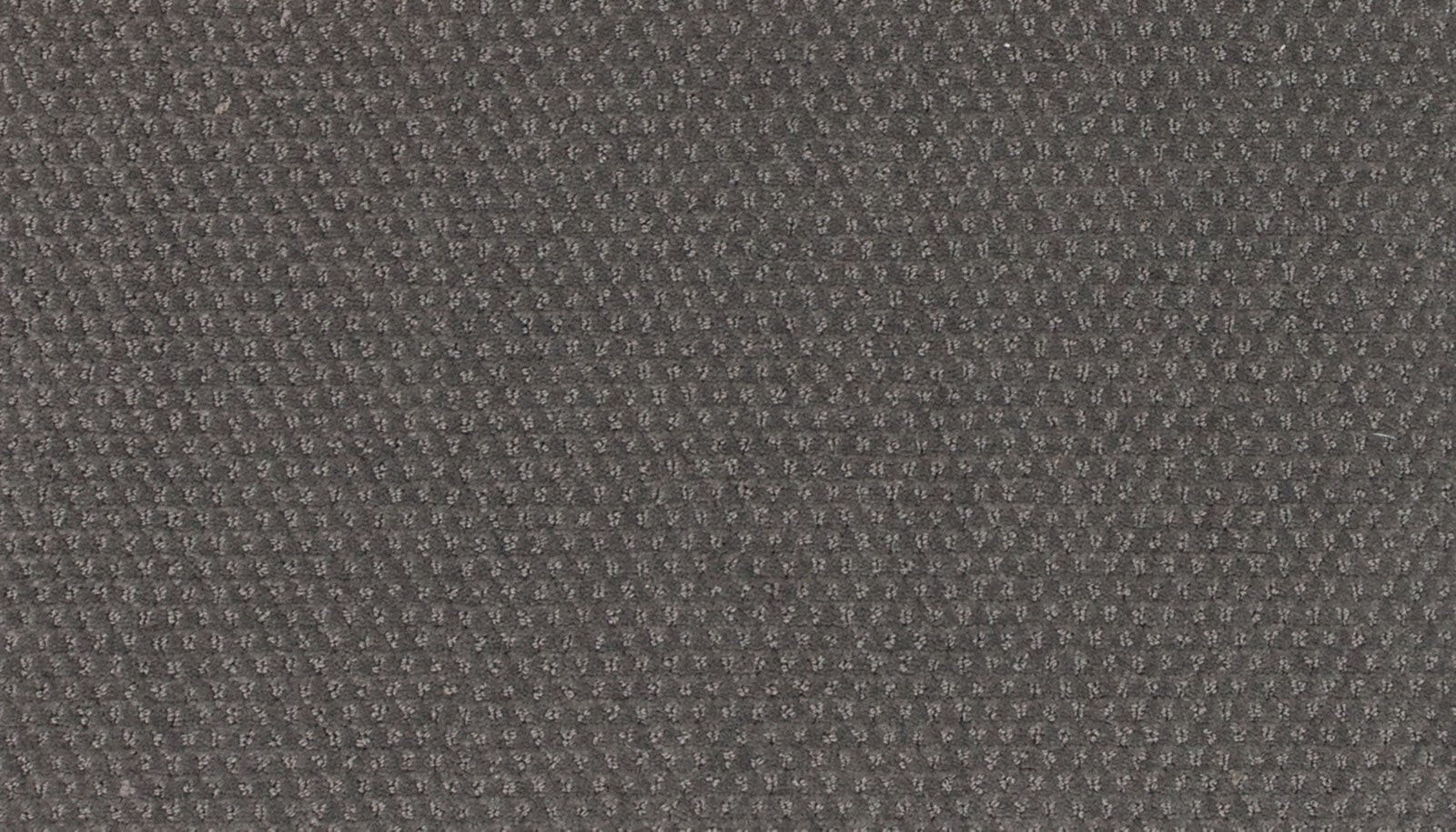Mohawk Dynamic Momentum in Intense, Carpet product detail