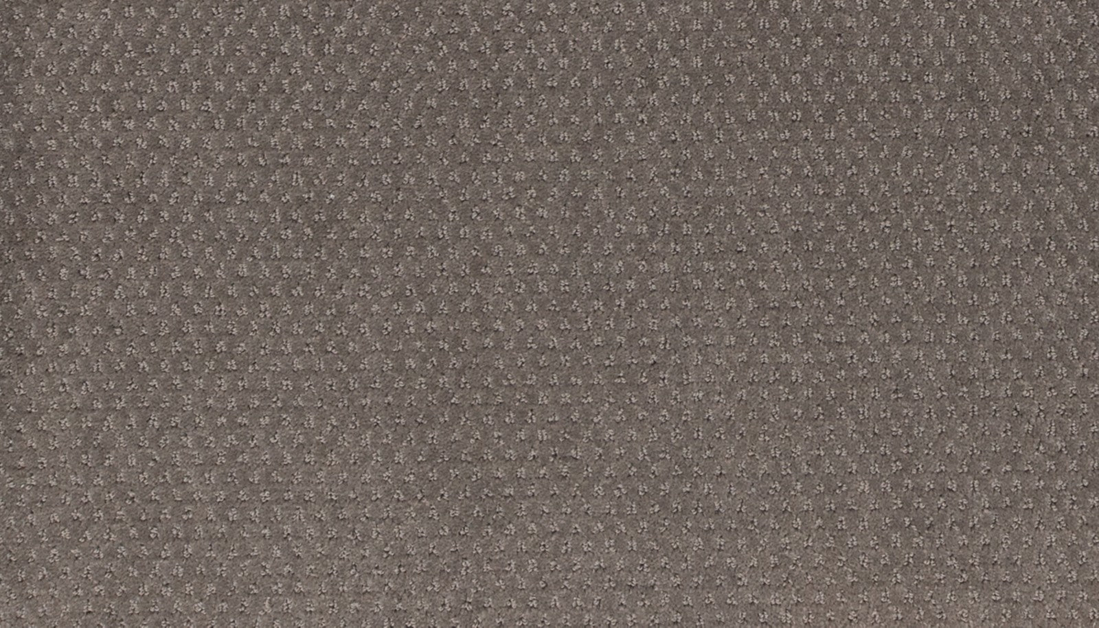 Mohawk Dynamic Momentum in Racing, Carpet product detail