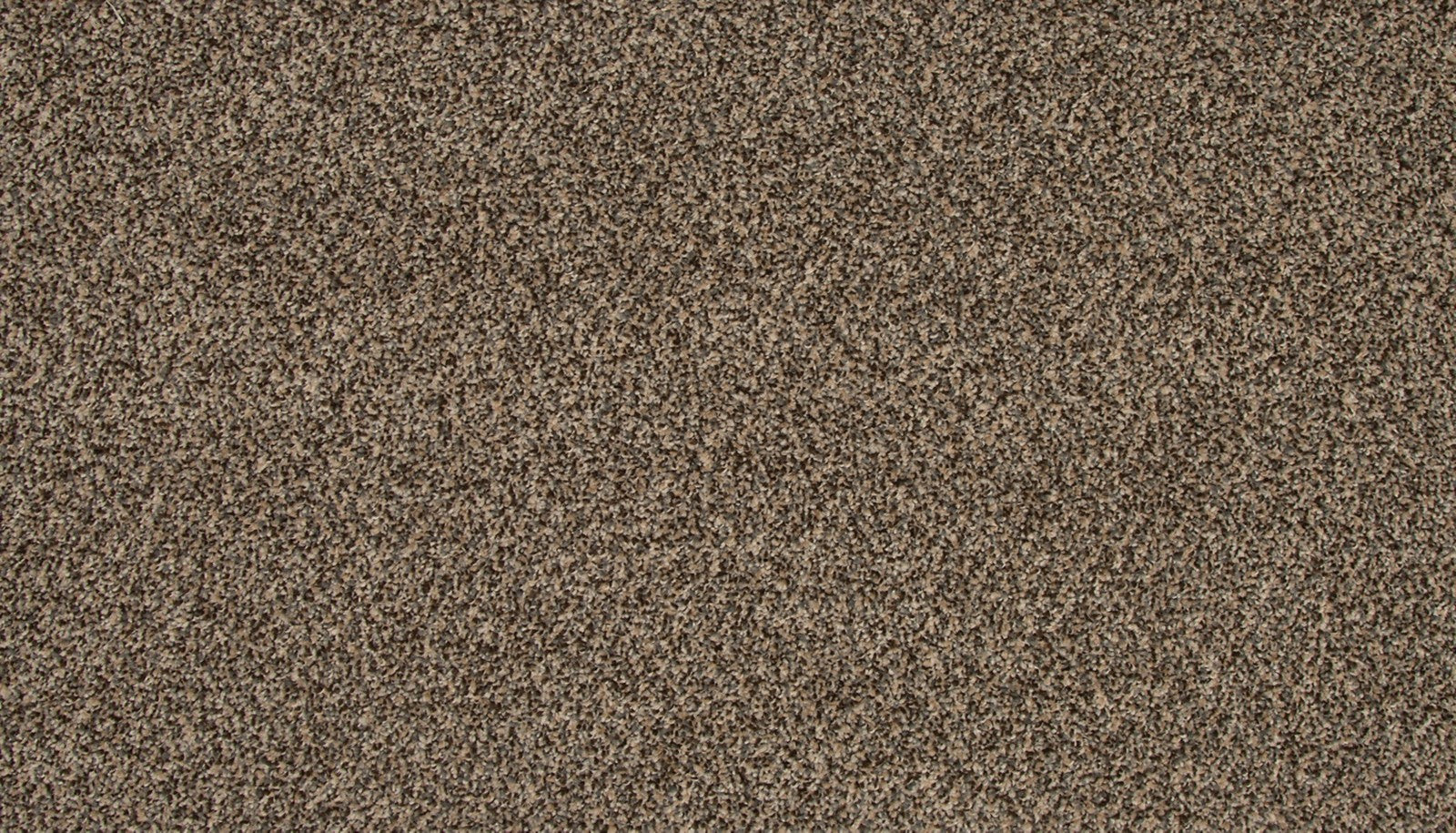 Mohawk Refreshing Charm in Salutation, Carpet product detail