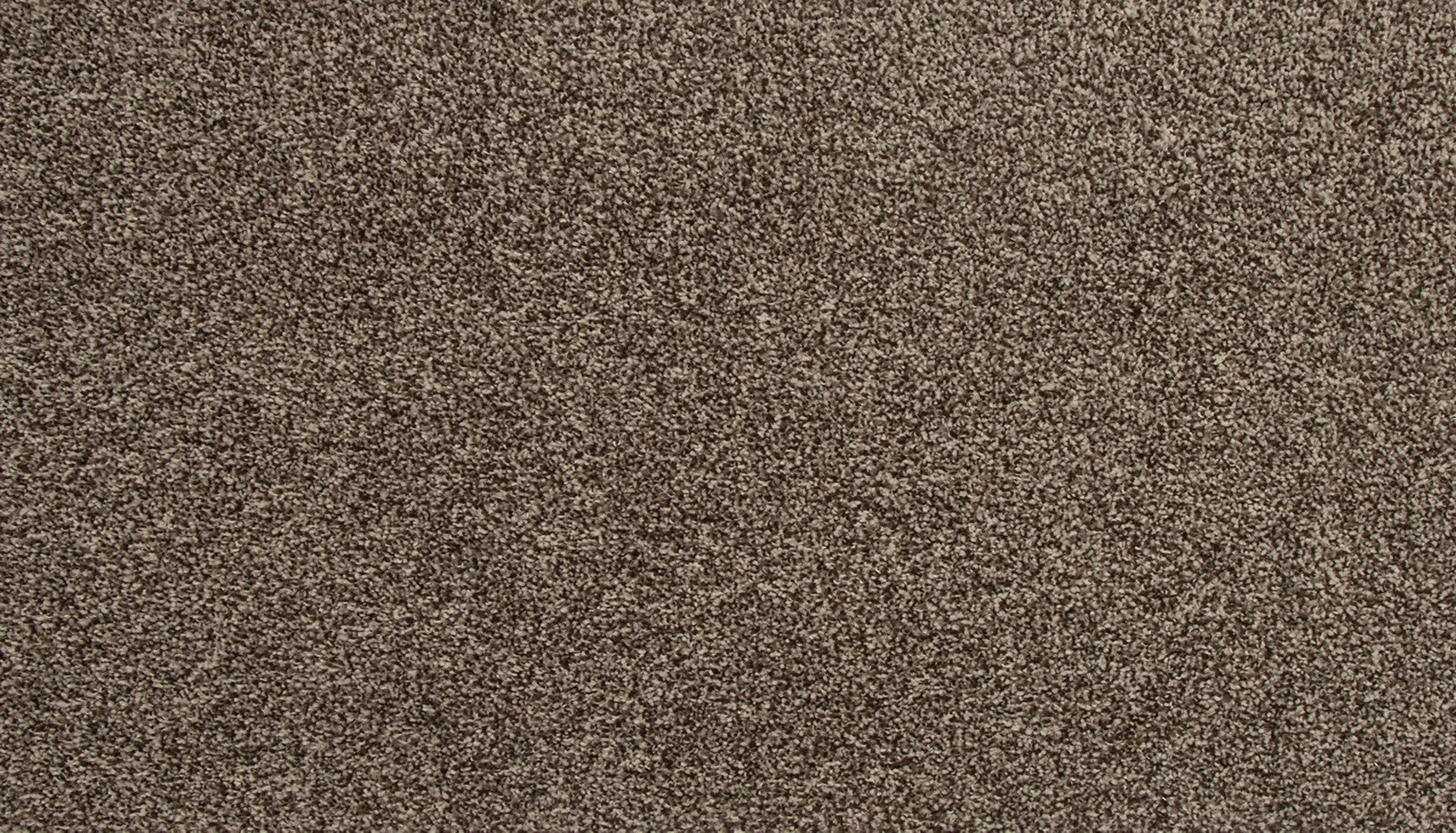 Mohawk Refreshing Charm in Allure, Carpet product detail