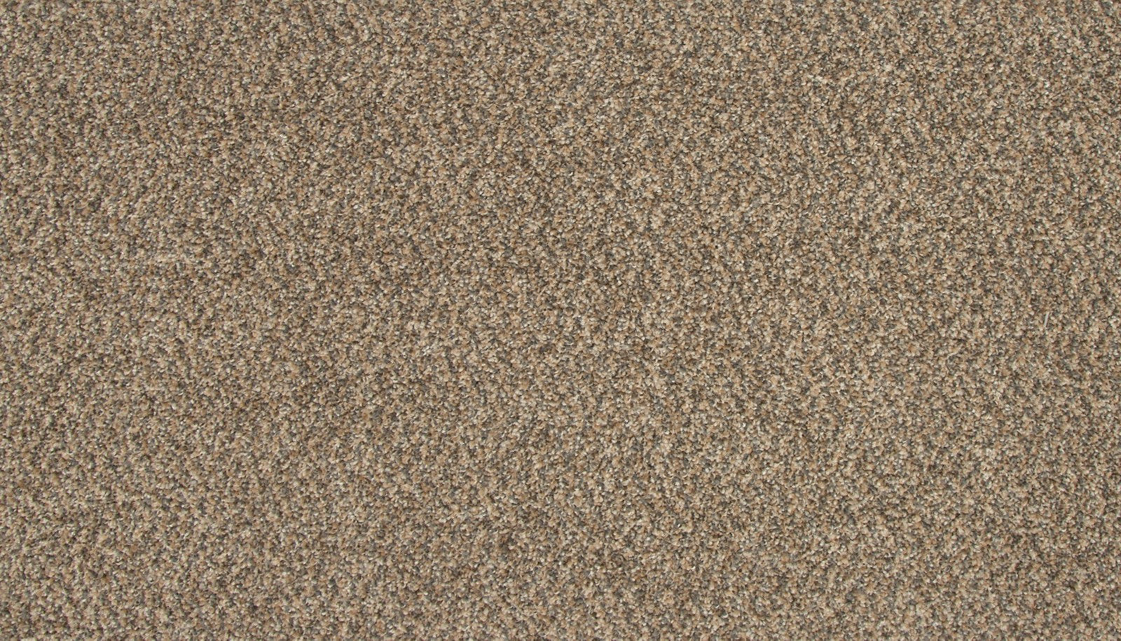 Mohawk Refreshing Charm in Intrigue, Carpet product detail