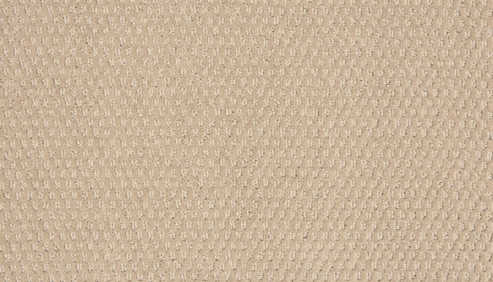 Mohawk Vintage Glamour in Old School, Carpet product detail