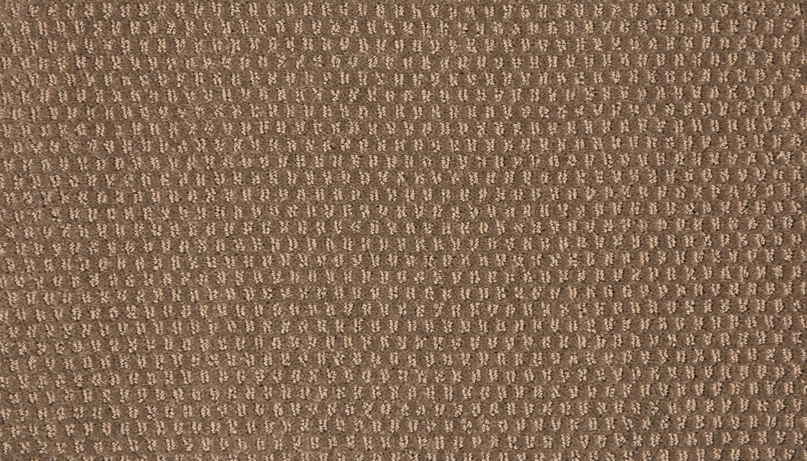 Mohawk Vintage Glamour in Cuppa Joe, Carpet product detail