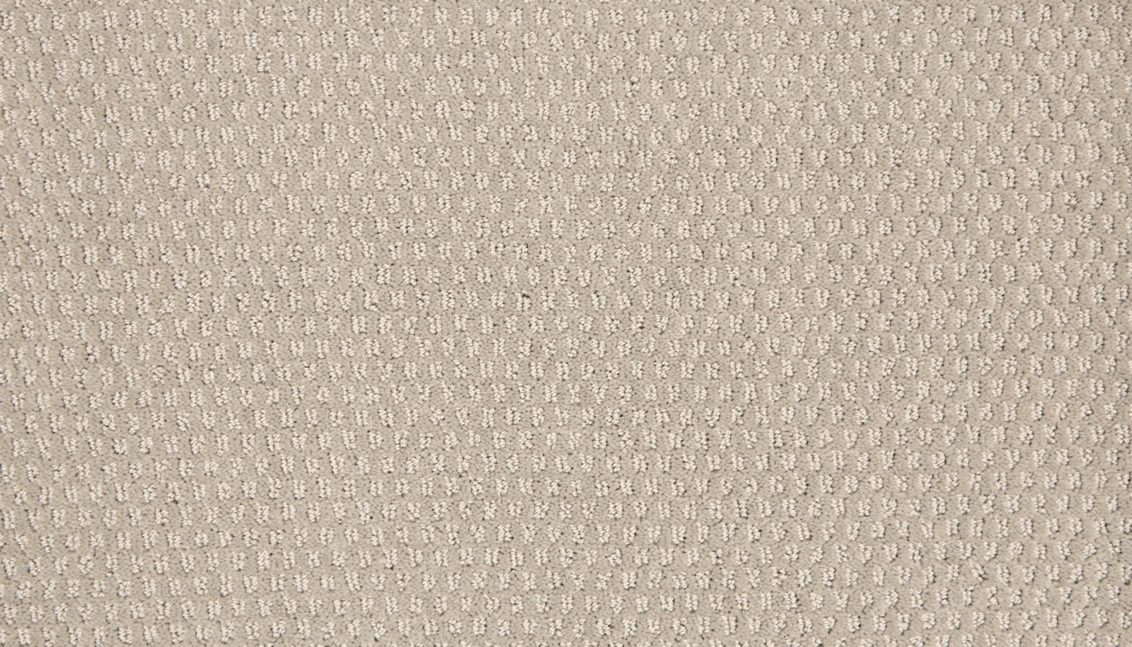 Mohawk Vintage Glamour in Polaroid, Carpet product detail