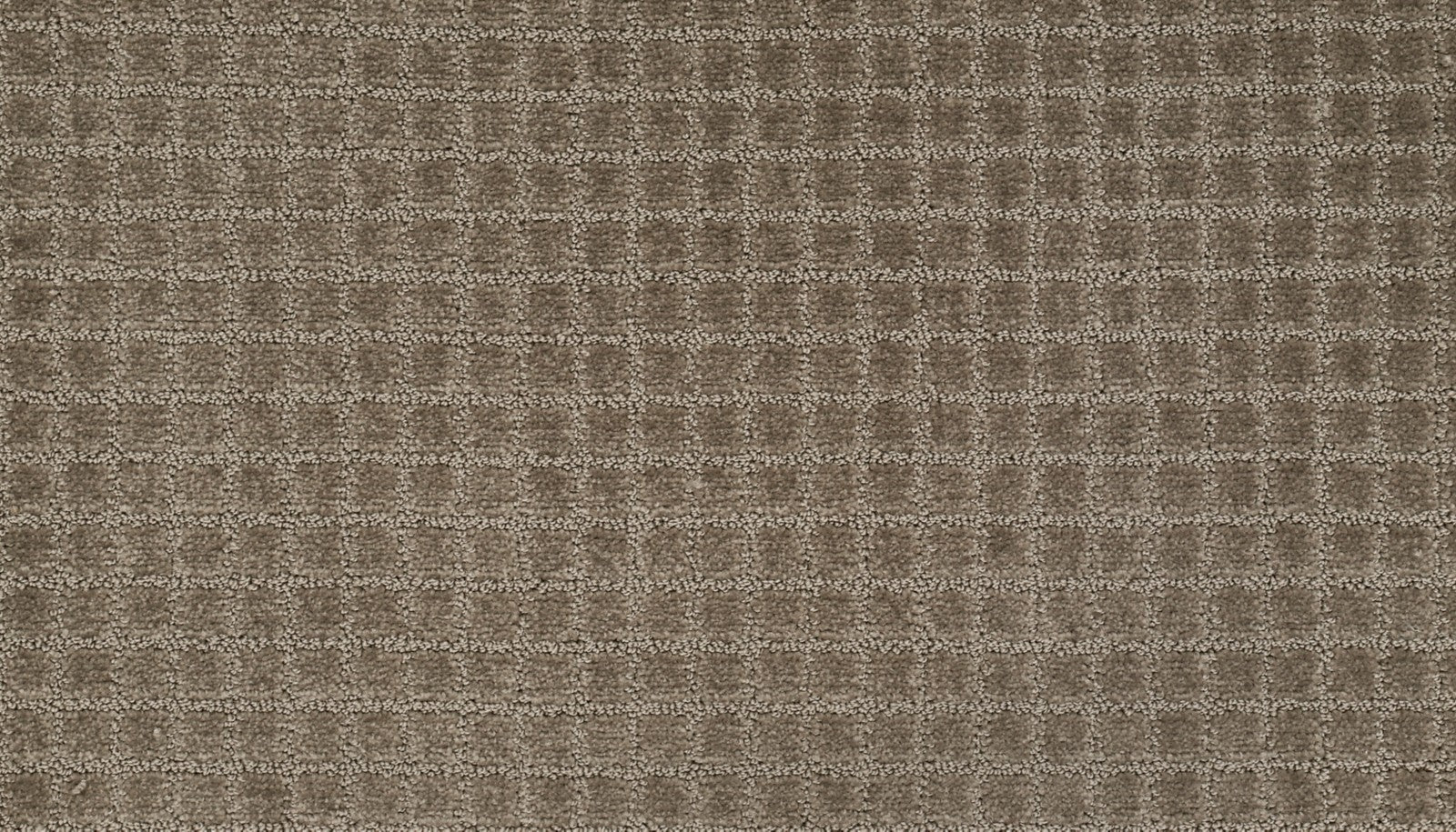 Mohawk First Class II in Longhorn, Carpet product detail