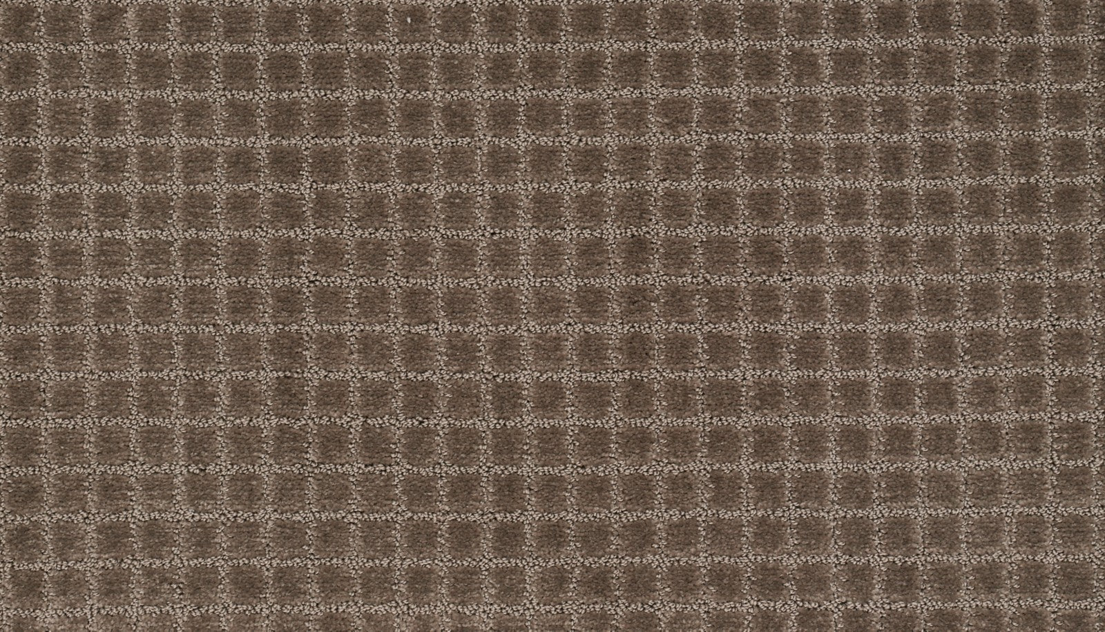 Mohawk First Class II in Fall Fields, Carpet product detail