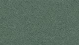 Mohawk Gentle Path Carpet