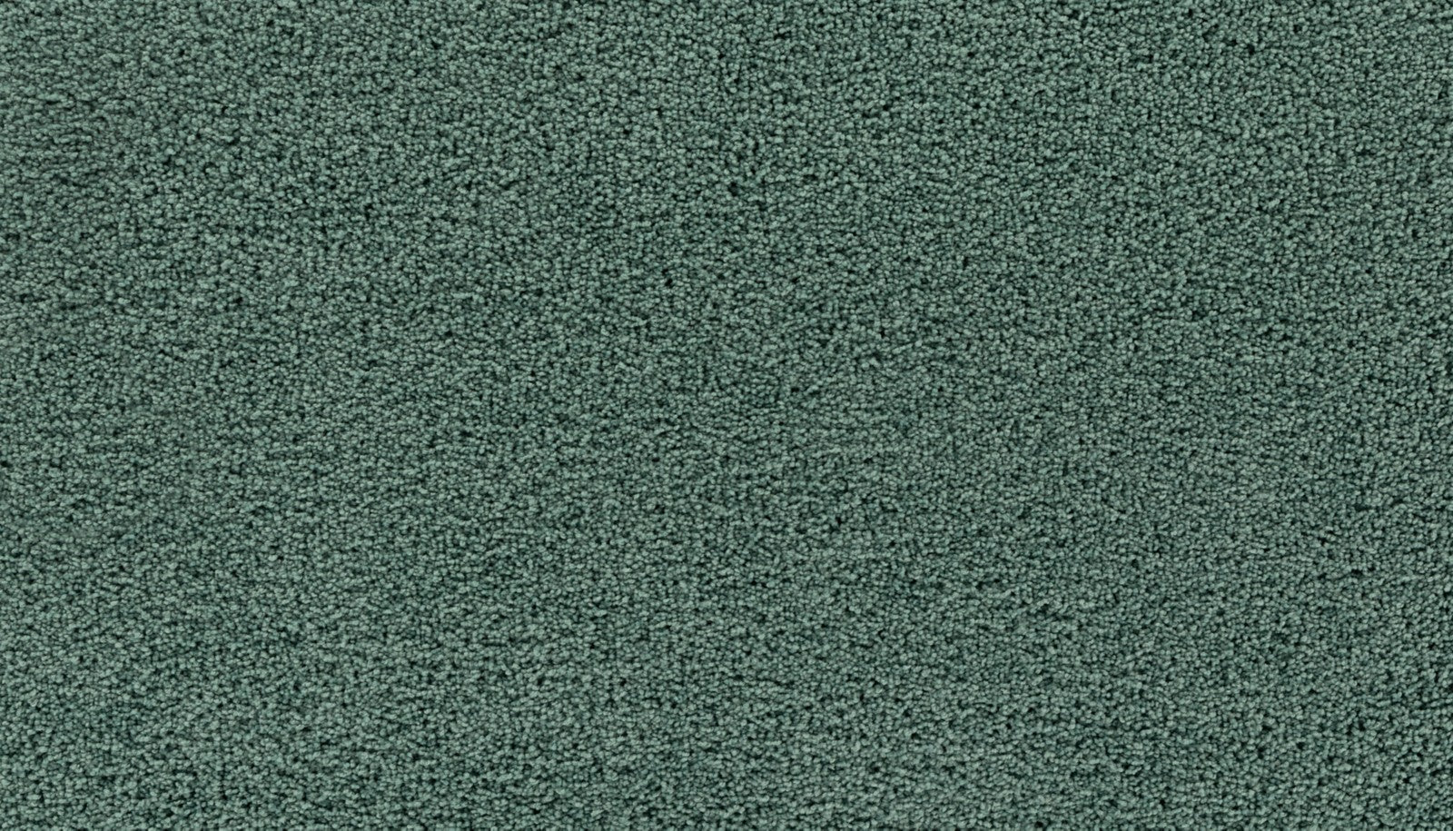 Mohawk Gentle Path in Seadrift, Carpet product detail