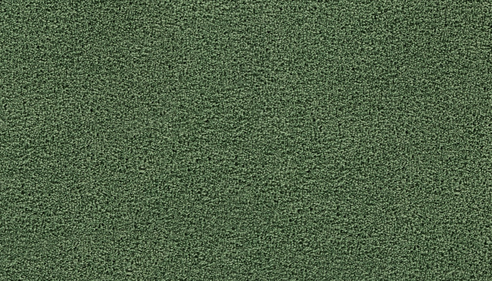 Mohawk Gentle Path in Kiwi Splash, Carpet product detail