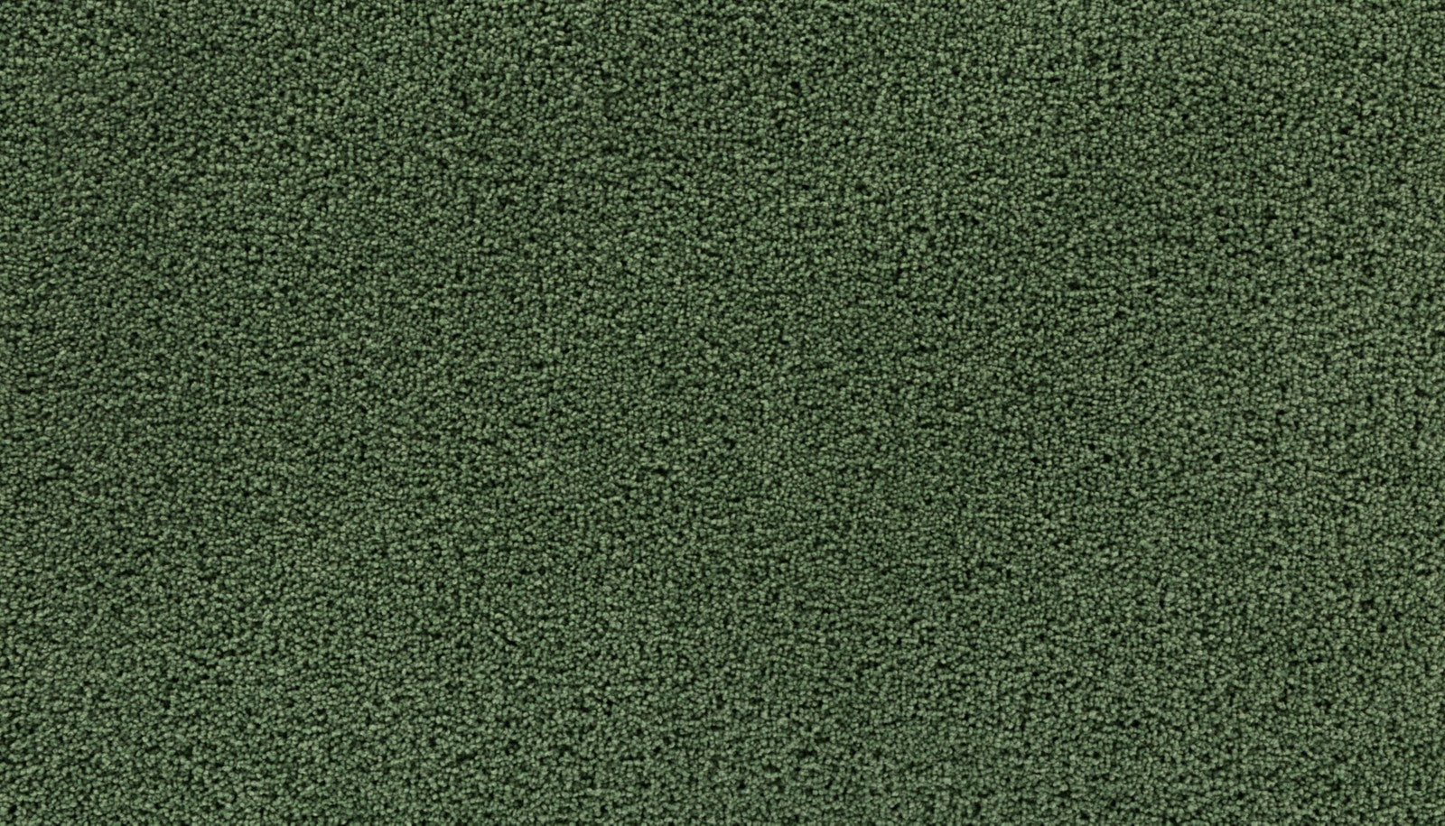 Mohawk Gentle Path in Lucky Clover, Carpet product detail