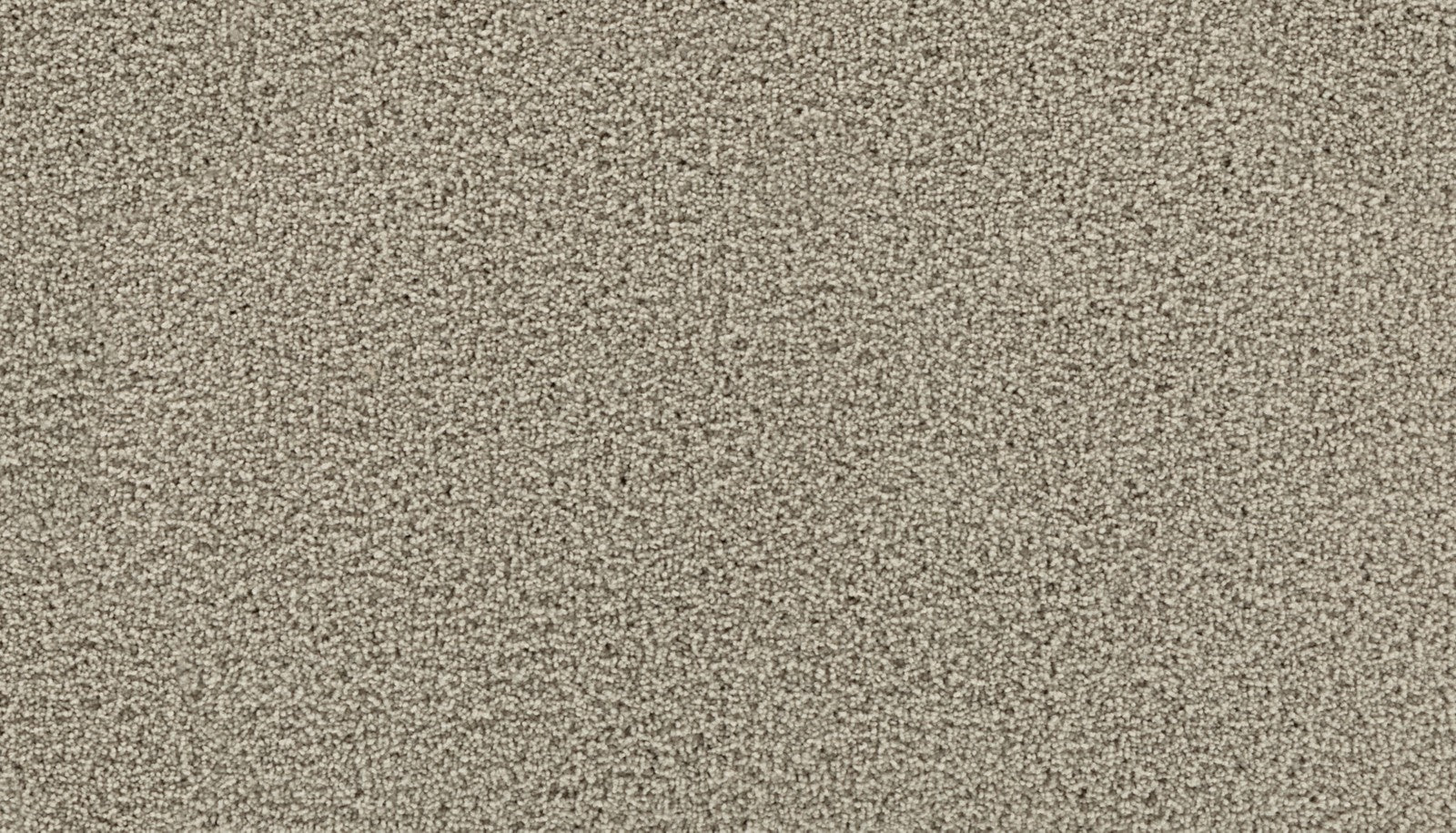 Mohawk Gentle Path in Spice Cake, Carpet product detail