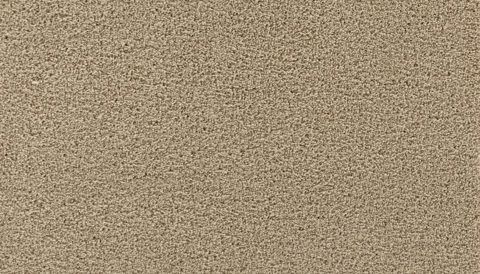 Mohawk Gentle Path in Saloon, Carpet product detail