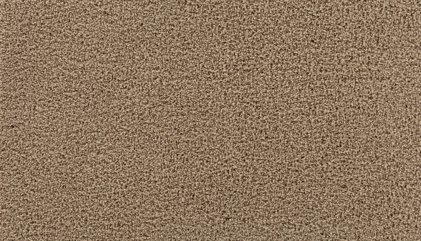 Mohawk Gentle Path in Pancake, Carpet product detail