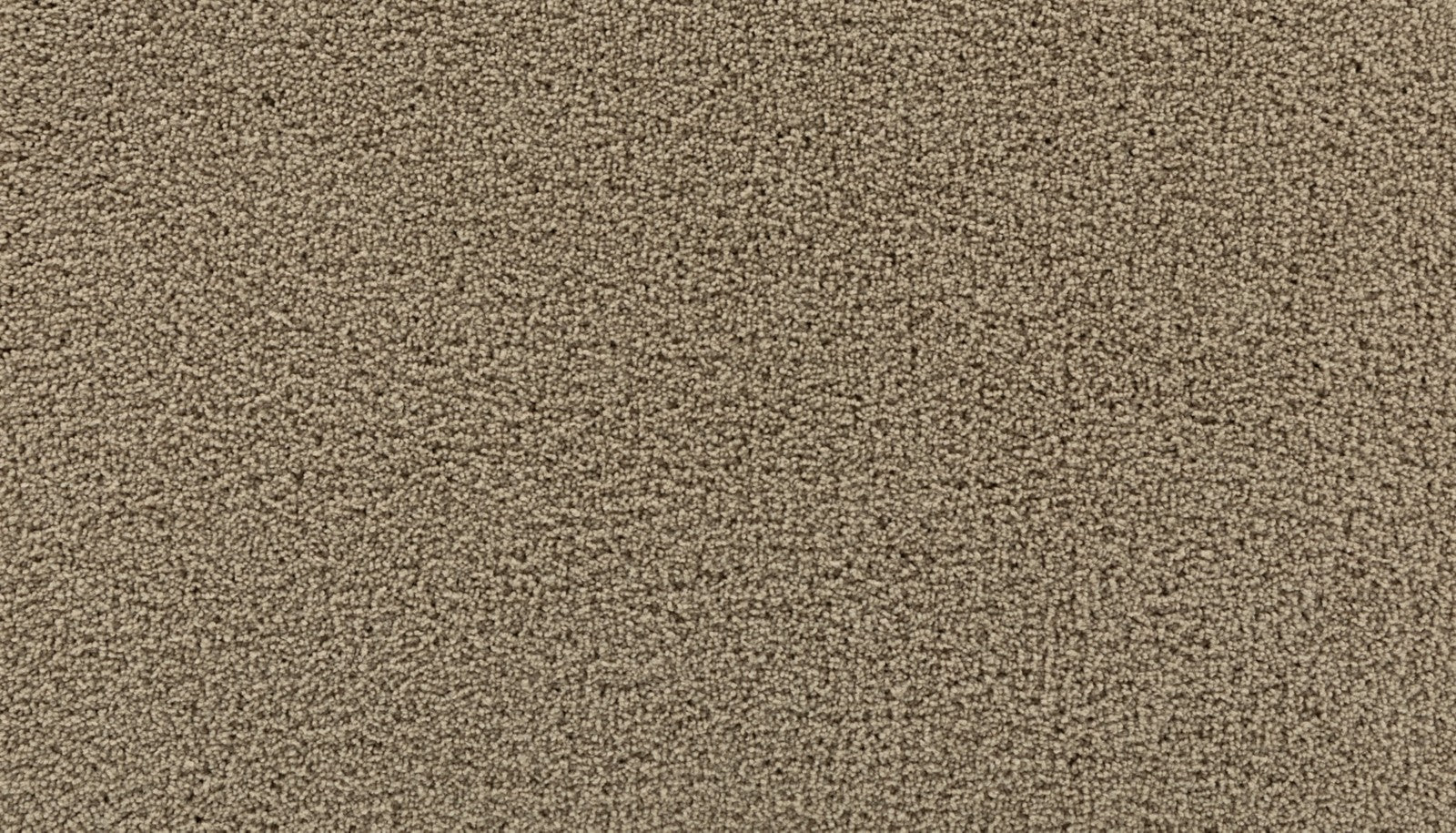 Mohawk Gentle Path in Peanut Shell, Carpet product detail
