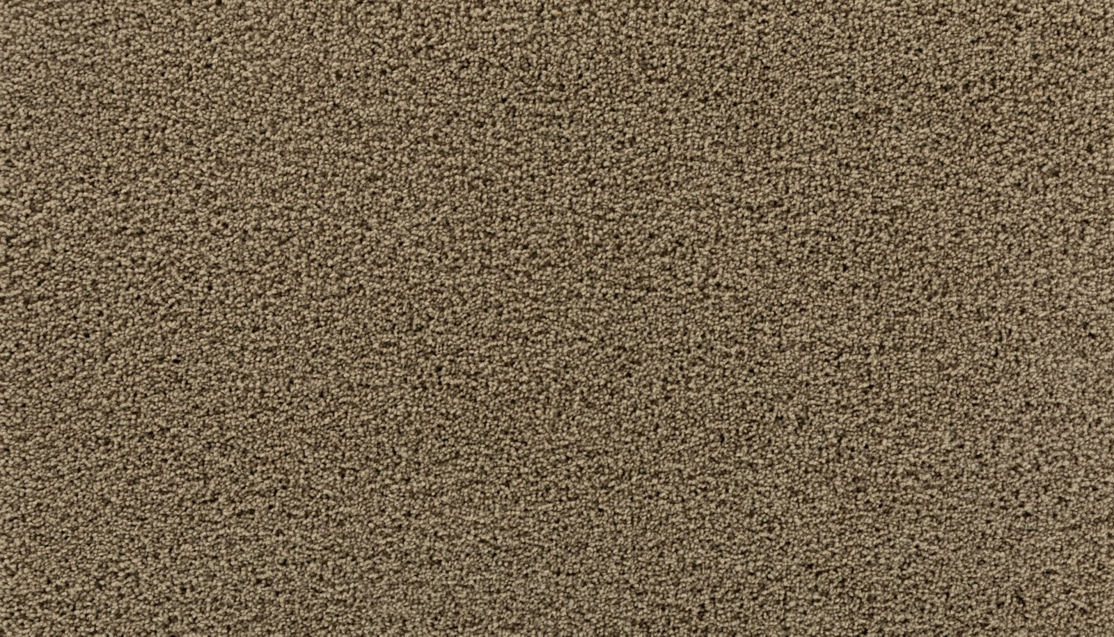 Mohawk Gentle Path in Tender Moment, Carpet product detail