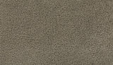 Mohawk Gentle Path Carpet