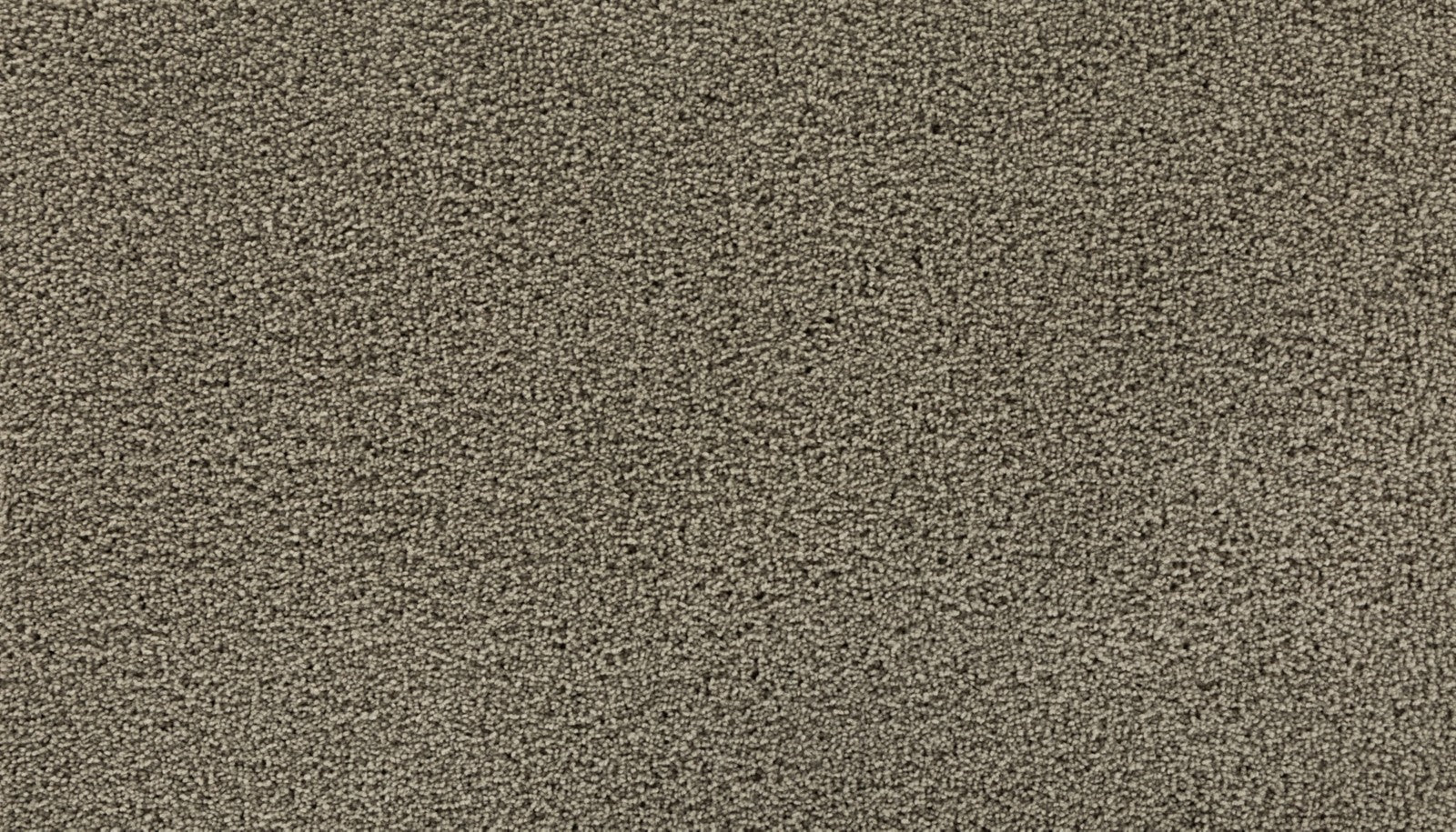 Mohawk Gentle Path in Explorer, Carpet product detail