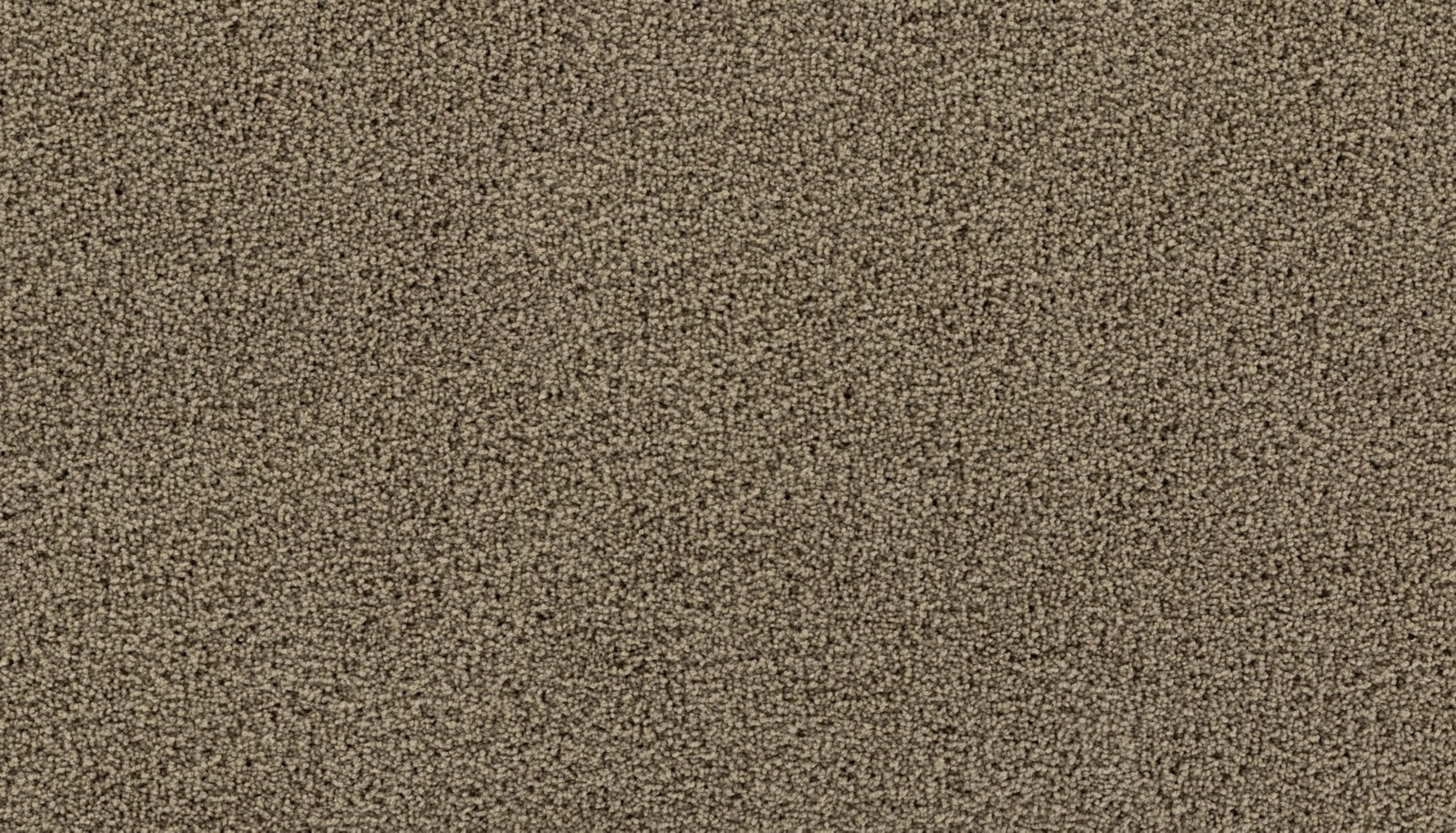 Mohawk Gentle Path in Salutation, Carpet product detail