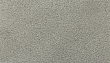 Mohawk Gentle Path Carpet