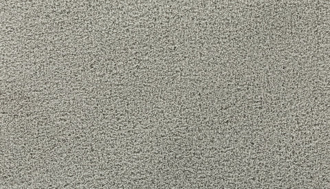 Mohawk Gentle Path Carpet