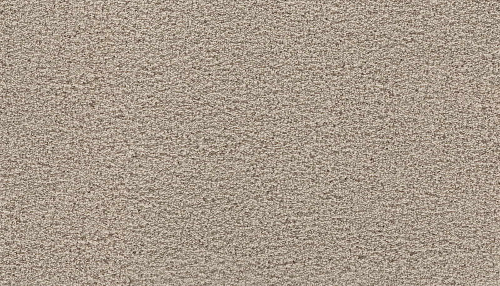Mohawk Gentle Path in Smoked Oyster, Carpet product detail