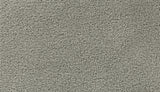 Mohawk Gentle Path Carpet