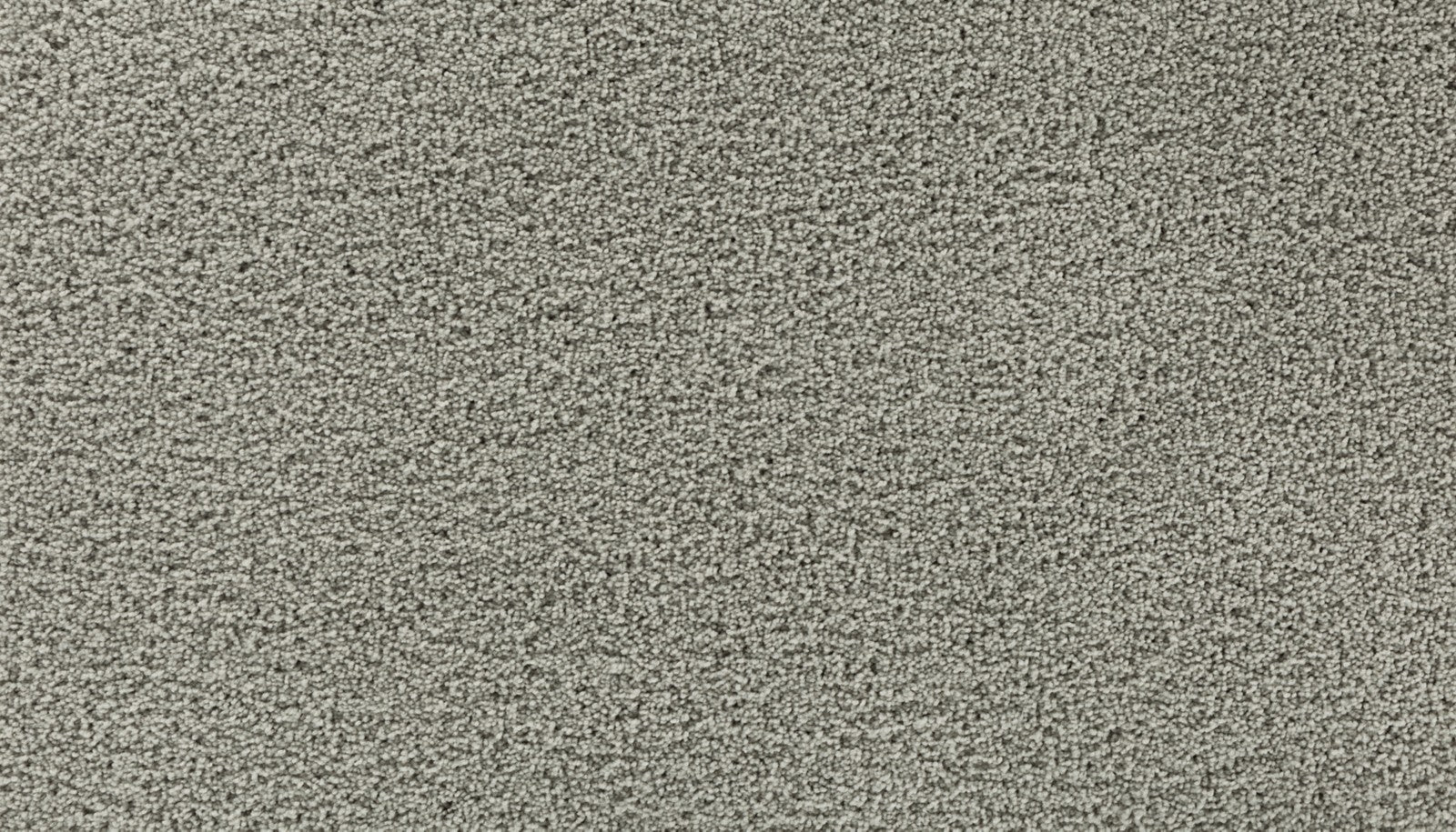 Mohawk Gentle Path in Clam Island, Carpet product detail