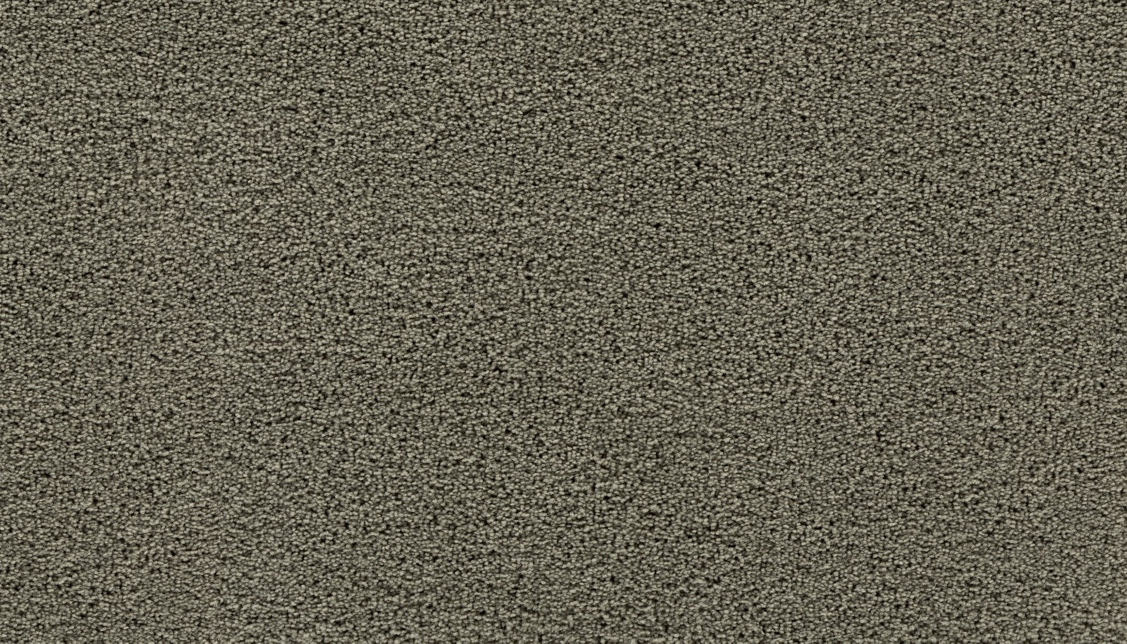 Mohawk Gentle Path in Seastone, Carpet product detail