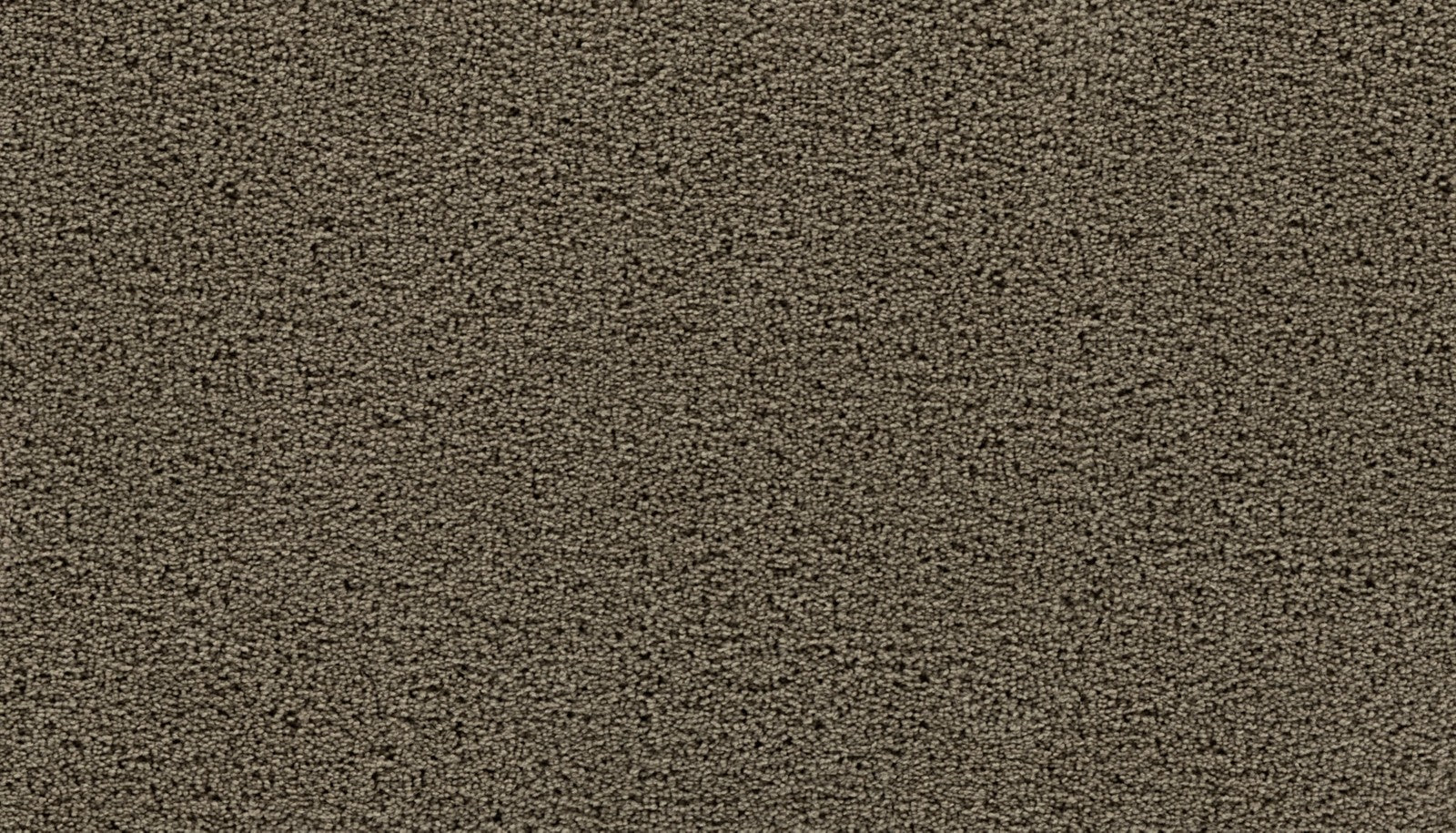 Mohawk Gentle Path in Rocky Ridge, Carpet product detail