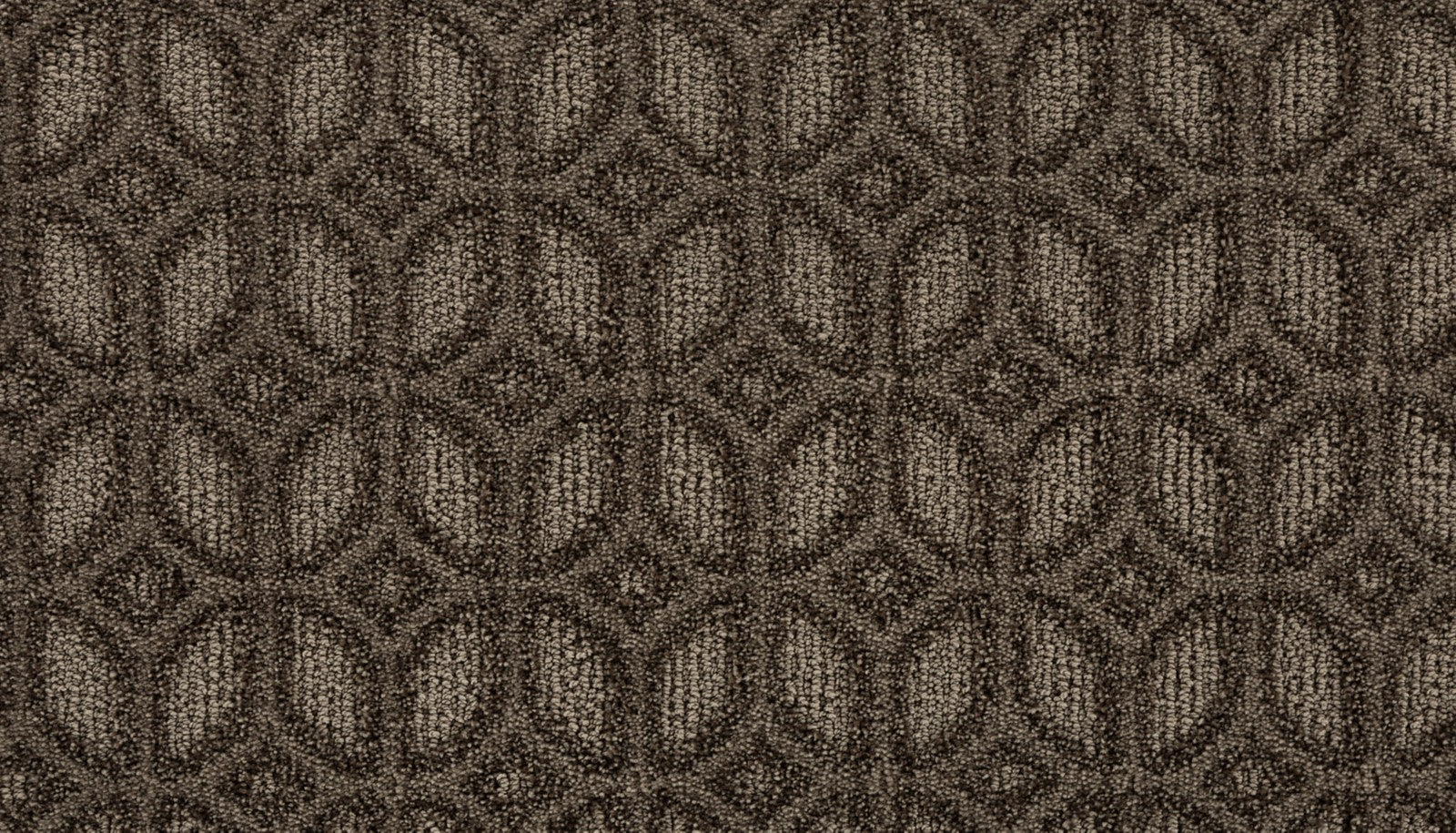 Mohawk Regal Appeal in Sequoia, Carpet product detail