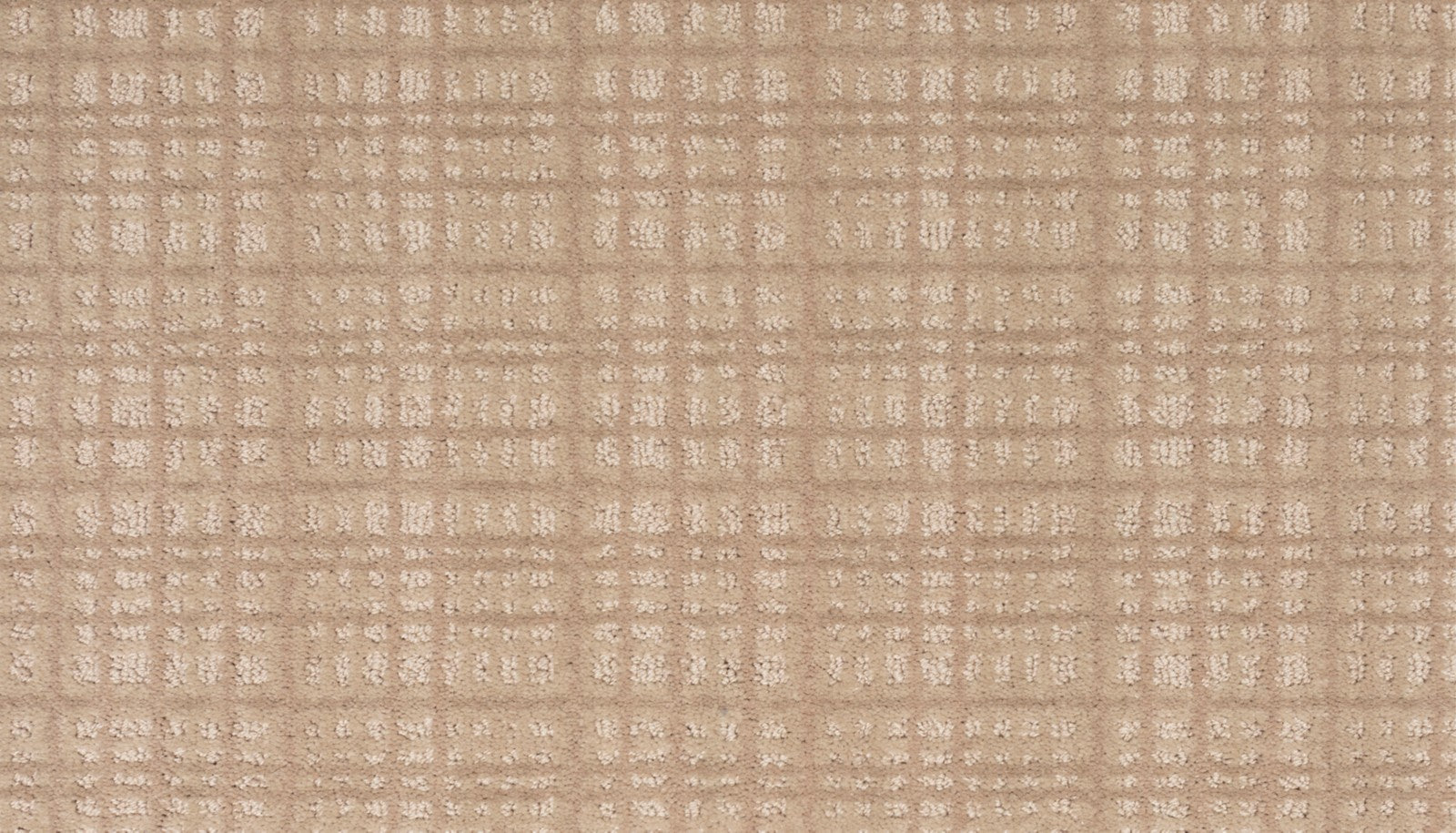 Mohawk Chic Influence in Amarillo, Carpet product detail