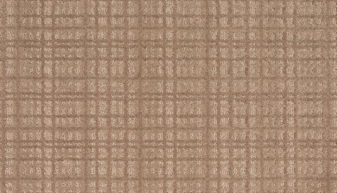Mohawk Chic Influence Carpet
