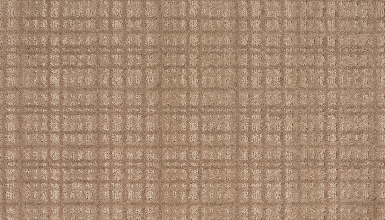Mohawk Chic Influence in Acorn Trail, Carpet product detail