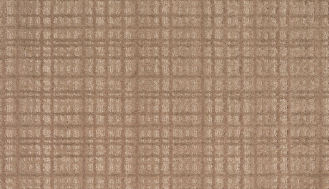 Mohawk Chic Influence Carpet