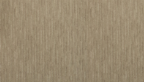 Mohawk Charming Approach Carpet