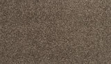 Mohawk Refreshing Shades Carpet