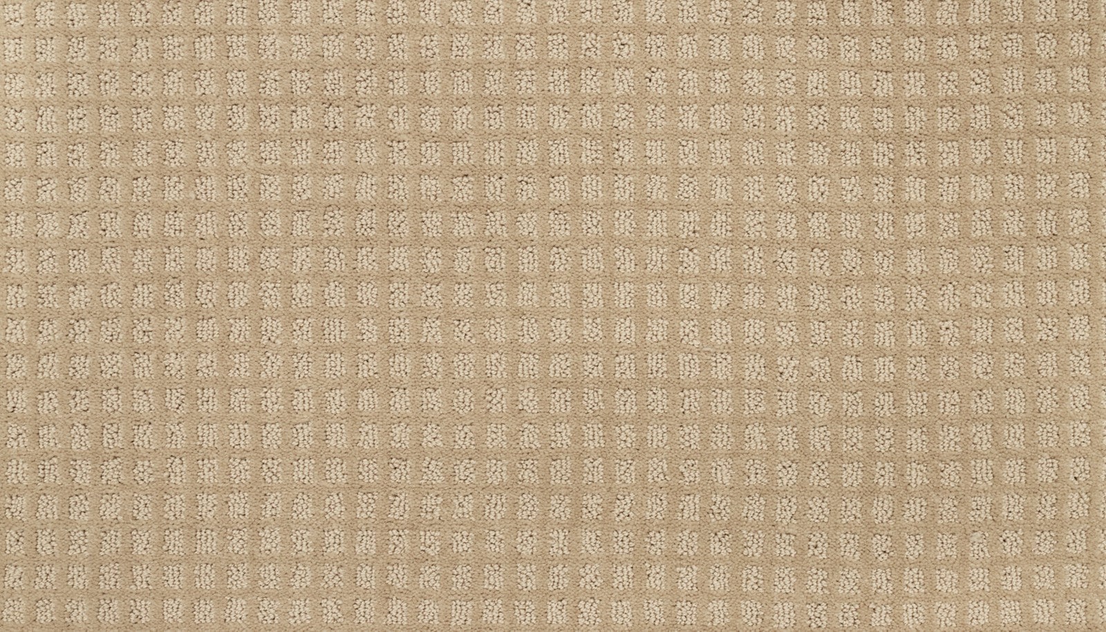 Mohawk City Sights II in Desert Sand, Carpet product detail