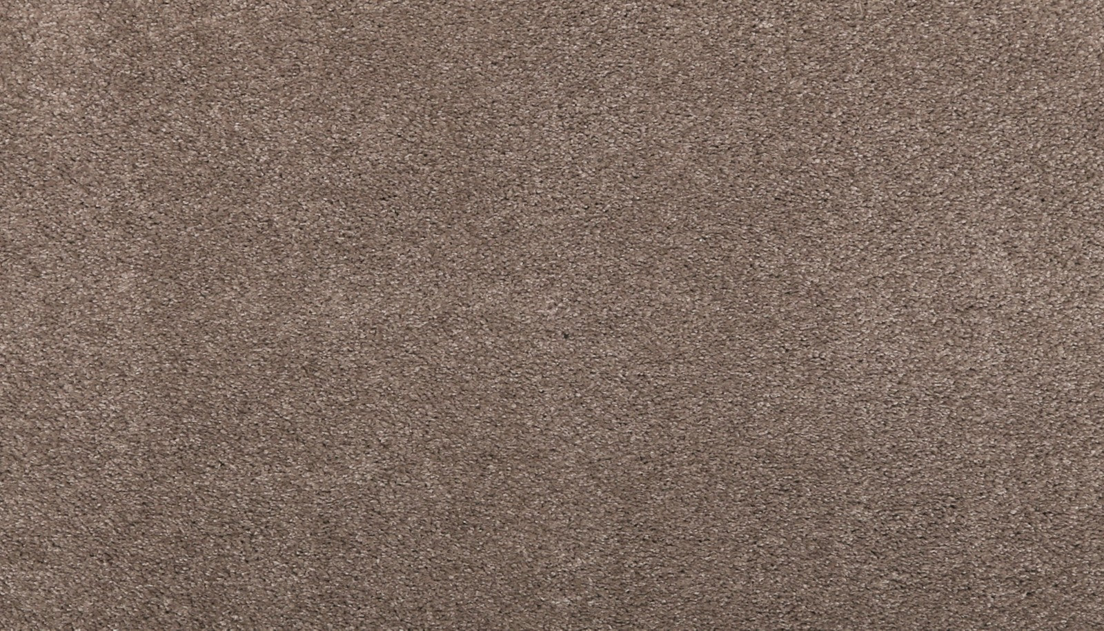 Mohawk Luxuriant Feel in Firewood, Carpet product detail