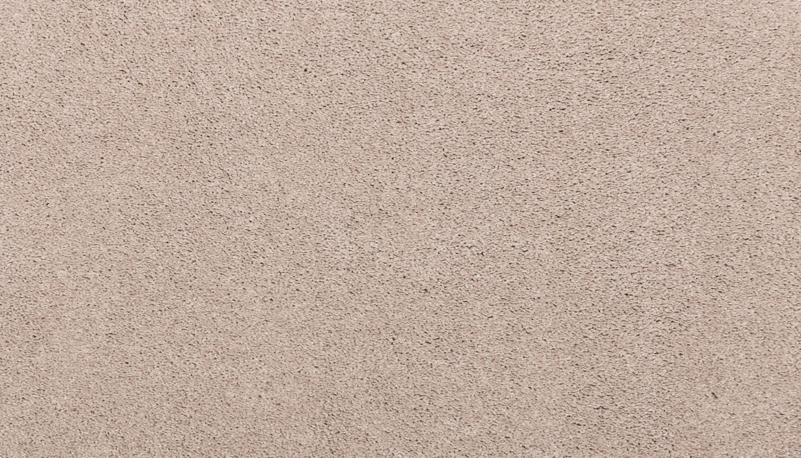 Mohawk Luxuriant Life in Nomad, Carpet product detail