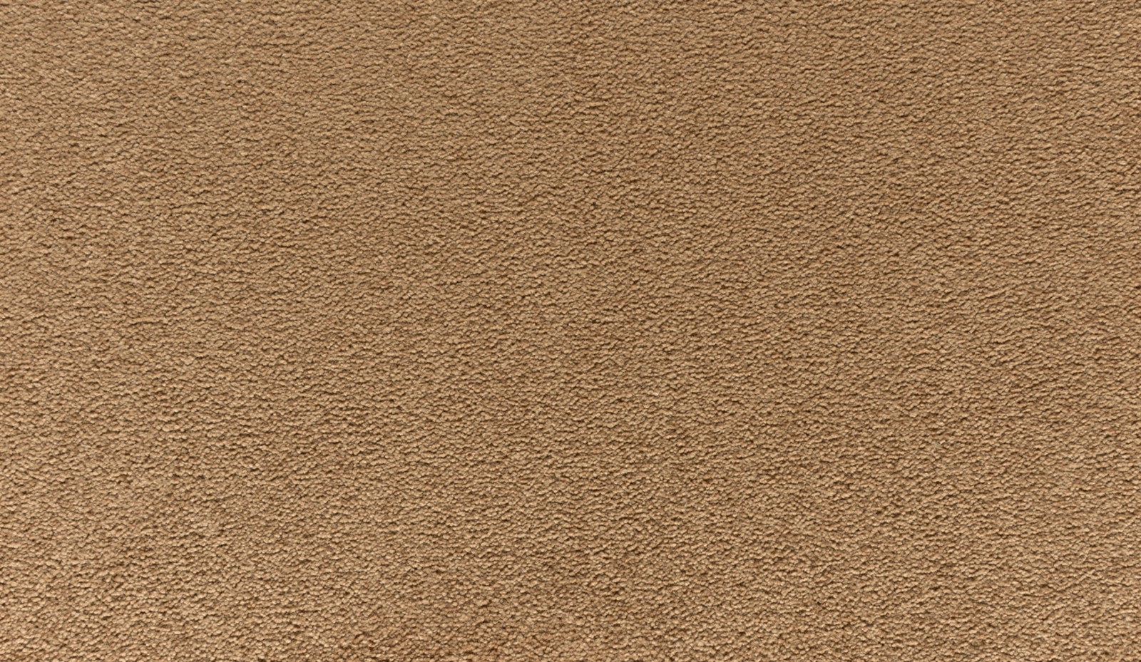 Mohawk Luxuriant Touch II in Clove, Carpet product detail