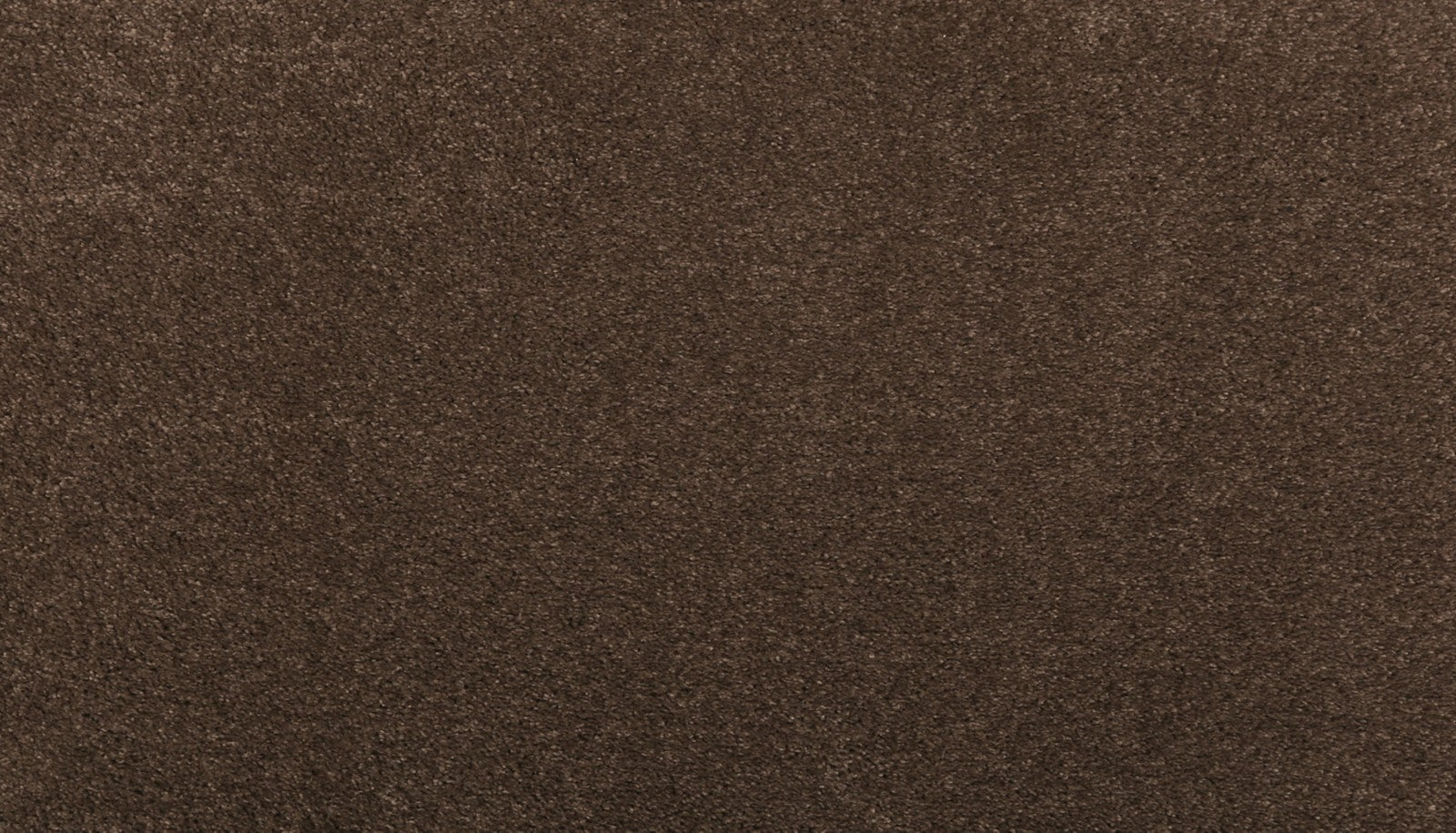 Mohawk Luxuriant Life in Fortress, Carpet product detail