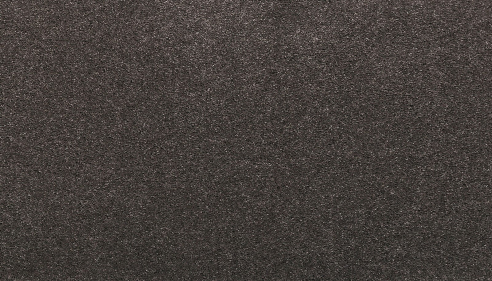 Mohawk Luxuriant Life in Nocturne, Carpet product detail